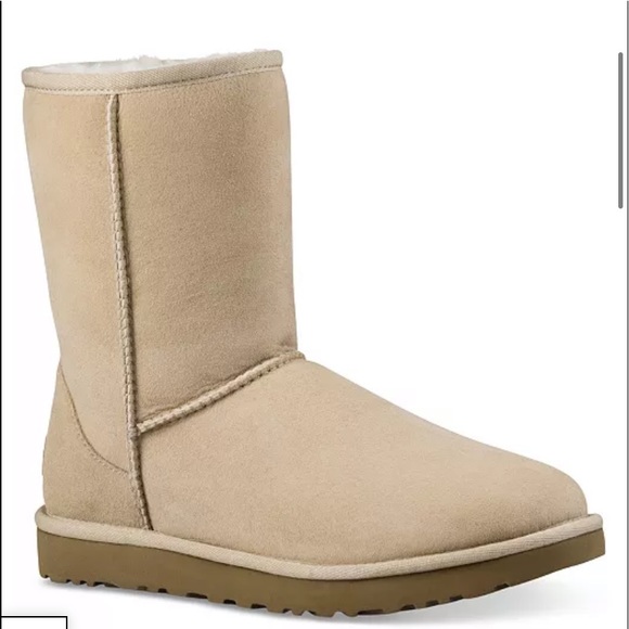 Shoes - UGG Women's Classic II Short Boots